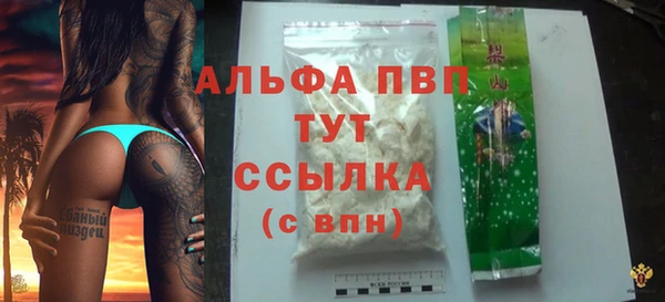 ПСИЛОЦИБИНОВЫЕ ГРИБЫ Вязьма
