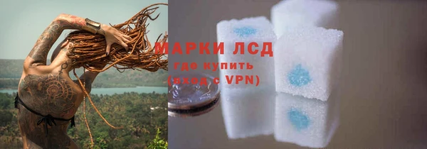 PSILOCYBIN Вяземский