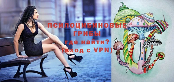 ПСИЛОЦИБИНОВЫЕ ГРИБЫ Вязьма