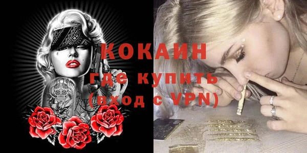 ПСИЛОЦИБИНОВЫЕ ГРИБЫ Вязьма