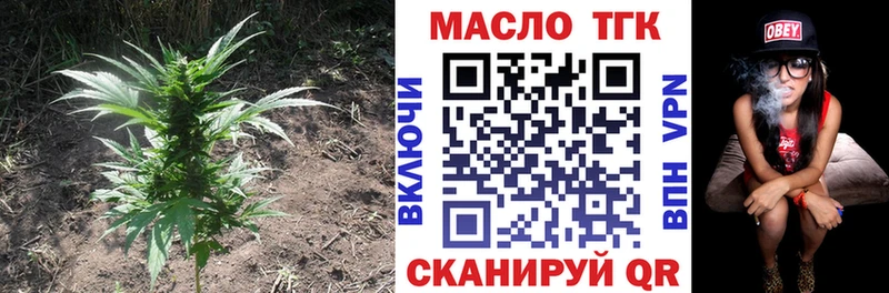 купить  сайты  Лысково  ТГК THC oil 